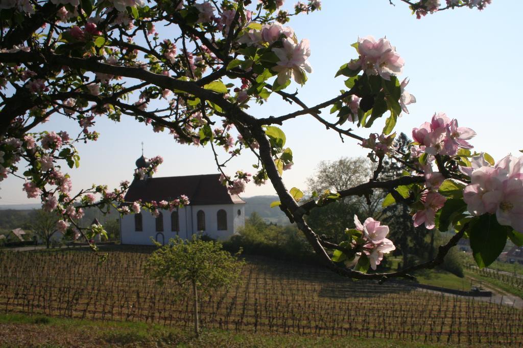Villa Mandelbluete Gleiszellen-Gleishorbach Room photo